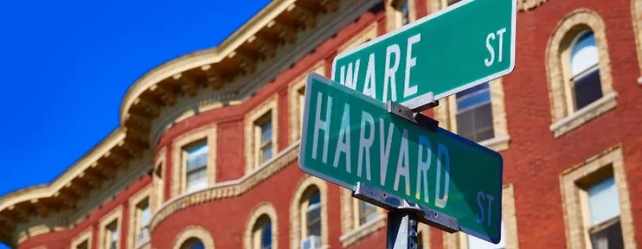 Conheça o percurso acadêmico_ do fellowship em Harvard à Assembleia Legislativa do Piauí